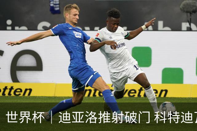 世界杯｜迪亚洛推射破门 科特迪瓦队绝杀厄瓜多尔队